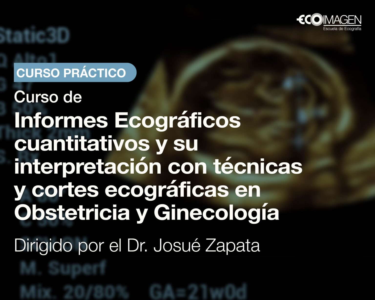 Curso Online Archivos Escuela De Ecograf A Ecoimagen