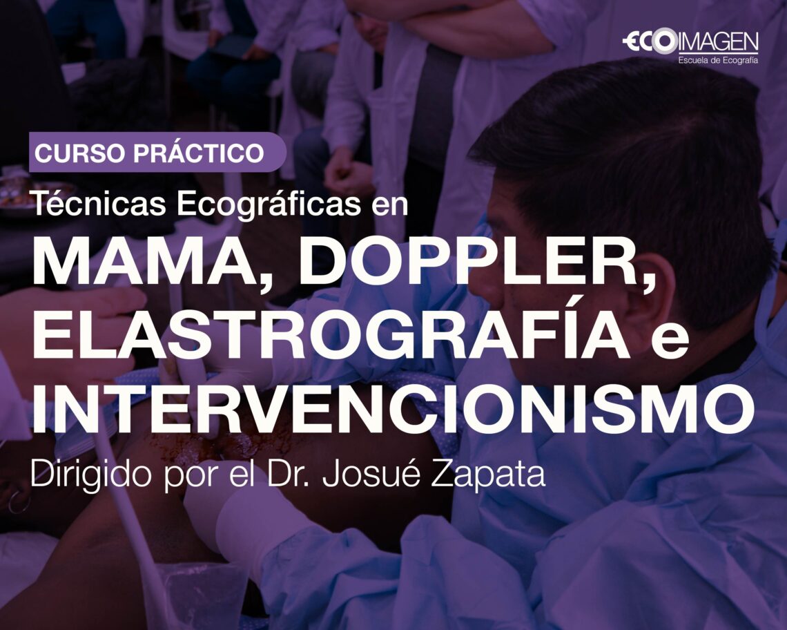 Curso Online Archivos Escuela De Ecograf A Ecoimagen