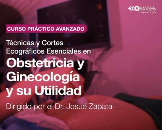 Curso Práctico | Técnicas y Cortes Ecográficos Esenciales en Obstetricia y Ginecología y su Utilidad | MAYO 2025