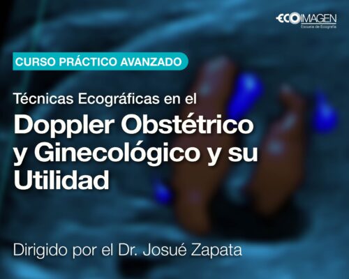 Curso Práctico | Técnicas Ecográficas en el Doppler Obstétrico y Ginecológico y su Utilidad | SEP 2025