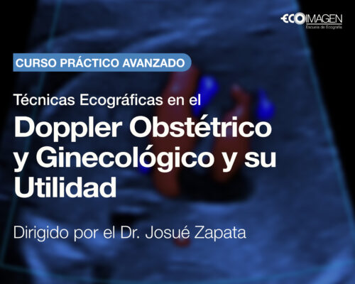 Curso Práctico | Técnicas Ecográficas en el Doppler Obstétrico y Ginecológico y su Utilidad | JUN 2025