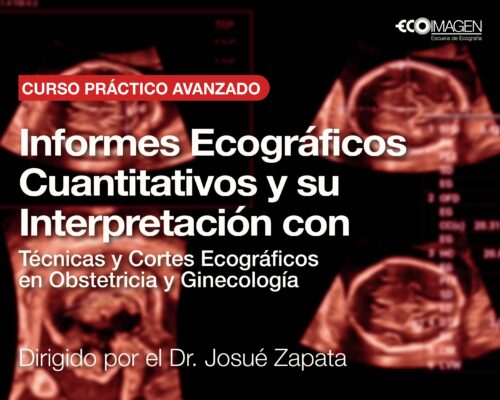 Curso Práctico | Informes Ecográficos Cuantitativos y su Interpretación con Técnicas y cortes Ecográficos en Obstetricia y Ginecología | AGO 2025