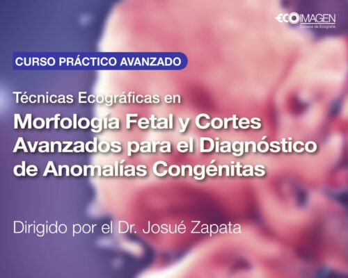 Curso Práctico | Técnicas Ecográficas en Morfología Fetal y Cortes Avanzados para el Diagnóstico de Anomalías Congénitas | JUL 2025