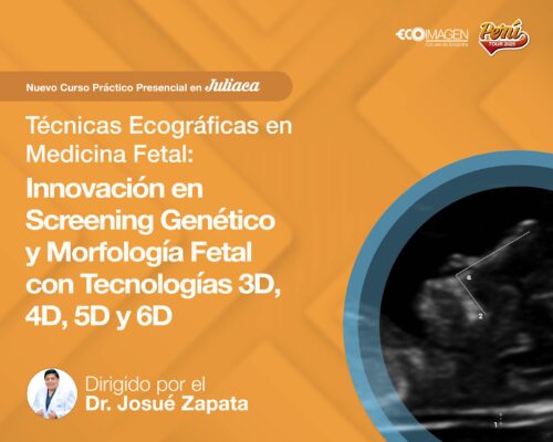 Curso Presencial | Técnicas Ecográficas en Medicina Fetal: Innovación en Screening Genético y Morfología Fetal con Tecnologías 3D, 4D, 5D y 6D | Juliaca Mayo 2025