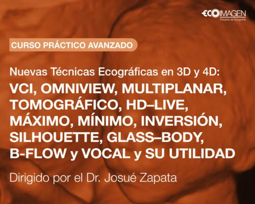 Curso Práctico | Nuevas Técnicas Ecográficas en 3D y 4D: VCI, OMNIVIEW, MULTIPLANAR, TOMOGRÁFICO, HD–LIVE, MÁXIMO, MÍNIMO, INVERSIÓN, SILHOUETTE, GLASS–BODY, B-FLOW y VOCAL y su utilidad | JUN 2025