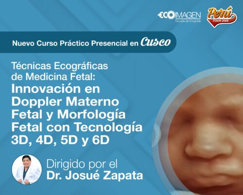 Curso Presencial | Técnicas Ecográficas de Medicina Fetal: Innovación en Doppler Materno Fetal y Morfología Fetal con Tecnología 3D, 4D, 5D y 6D| Cusco Septiembre 2025
