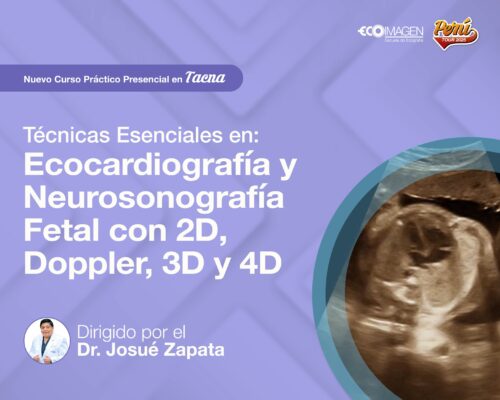 Curso Presencial | Técnicas Esenciales en Ecocardiografía y Neurosonografía Fetal con 2D, Doppler, 3D y 4D  | Tacna Junio 2025