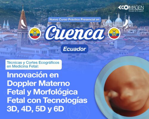 Curso Presencial | Técnicas y Cortes Ecográficos en Medicina Fetal: Innovación en Doppler Materno Fetal y Morfológica Fetal con Tecnologías 3D, 4D, 5D y 6D | Cuenca 2025