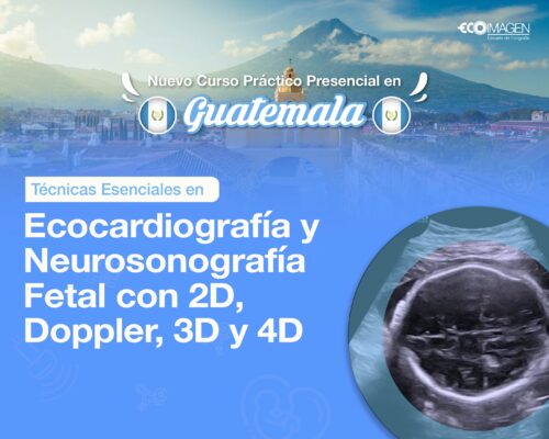 Curso Presencial | Técnicas Esenciales en Ecocardiografía y Neurosonografía Fetal con 2D, Doppler, 3D y 4D  | Guatemala Agosto 2025