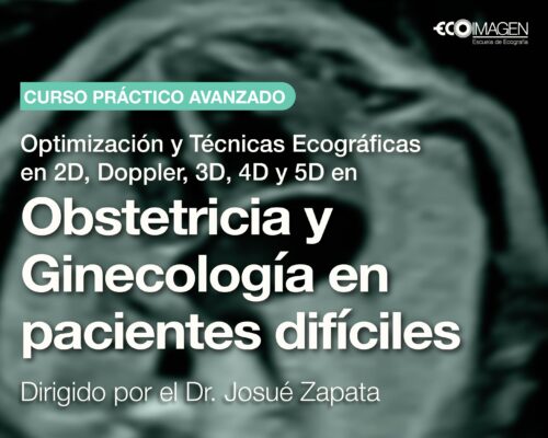 Curso Práctico: Optimización y Técnicas Ecográficas en 2D, Doppler, 3D, 4D y 5D en Obstetricia y Ginecología  | Agosto 2025
