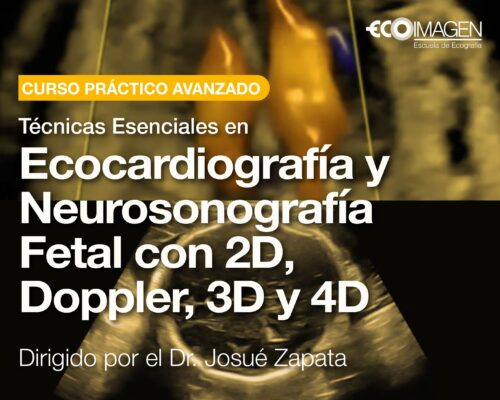 Curso Práctico | Técnicas Esenciales en Ecocardiografía y Neurosonografía Fetal con 2D, Doppler, 3D y 4D | AGO 2025