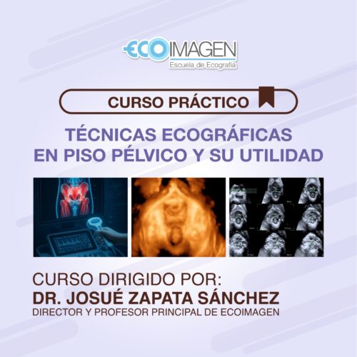 Curso Práctico | Técnicas Ecográficas en Piso Pélvico y su Utilidad | Octubre 2025