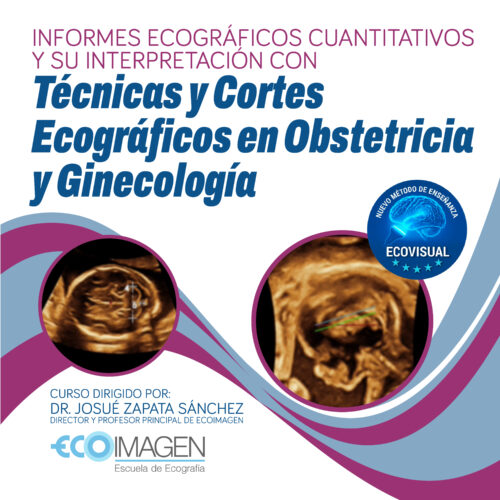 Curso Práctico | Informes Ecográficos Cuantitativos y su Interpretación con Técnicas y Cortes Ecográficos en Obstetricia y Ginecología | Diciembre 2025