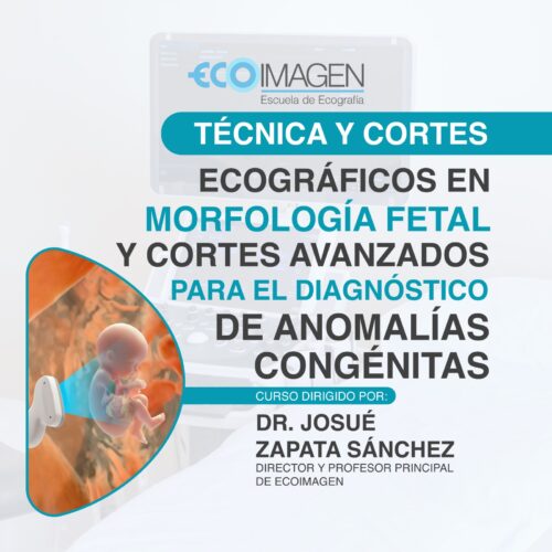 Curso Práctico | Técnicas Ecográficas en Morfología Fetal y Cortes Avanzados para el Diagnóstico de Anomalías Congénitas | Octubre 2025