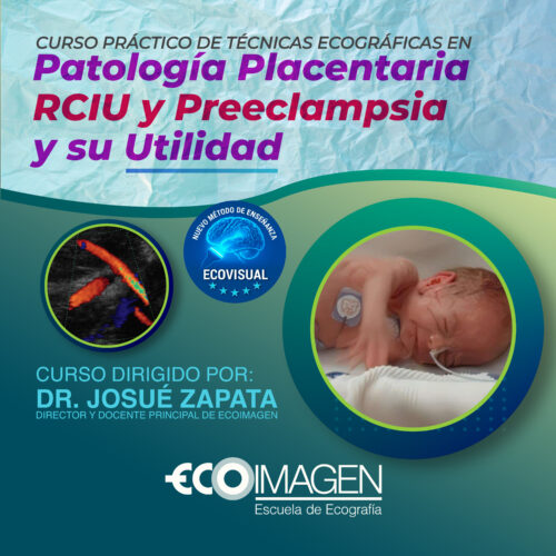Curso Práctico | Técnicas Ecográficas en Patología Placentaria, RCIU y  Preeclampsia y su Utilidad | Diciembre 2025