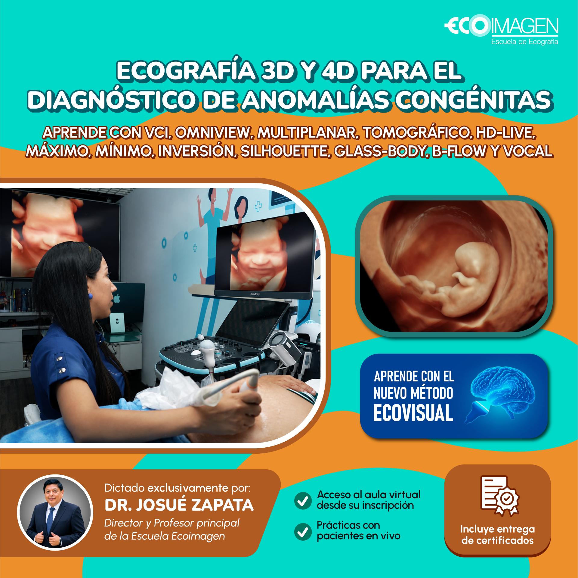Curso Práctico | Nuevas Técnicas Ecográficas en 3D y 4D para el Diagnóstico de Anomalías Congénitas