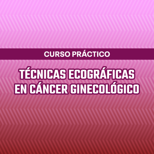 Curso Práctico | Técnicas Ecográficas en Cáncer Ginecológico