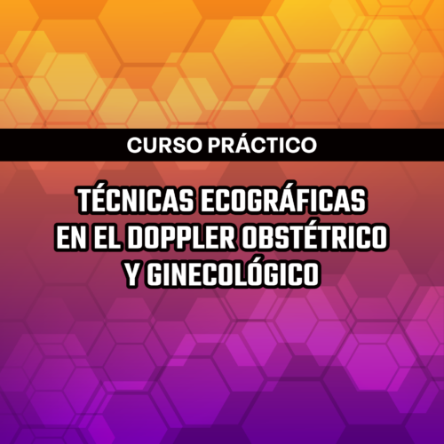 Curso Práctico | Técnicas Ecográficas en el Doppler Obstétrico y Ginecológico