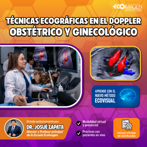 Curso Práctico | Técnicas Ecográficas en el Doppler Obstétrico y Ginecológico