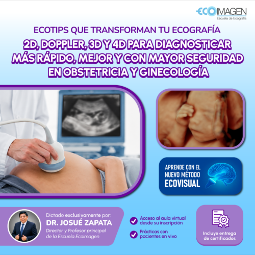 Curso Práctico | Ecotips que transforman tu Ecografía: 2D, Doppler, 3D Y 4D para diagnosticar más rápido, mejor y con mayor seguridad en Obstetricia y Ginecología