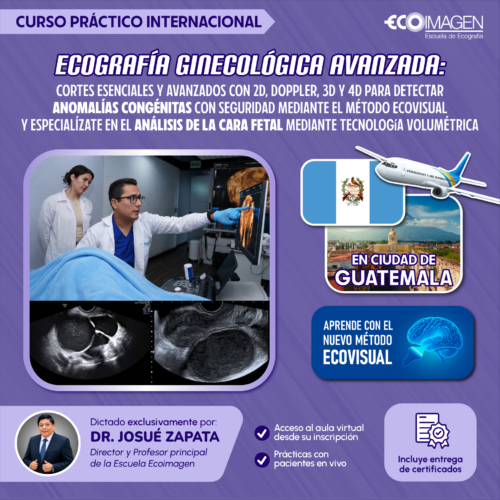 Curso Internacional Práctico en GUATEMALA | Ecografía Ginecológica Avanzada