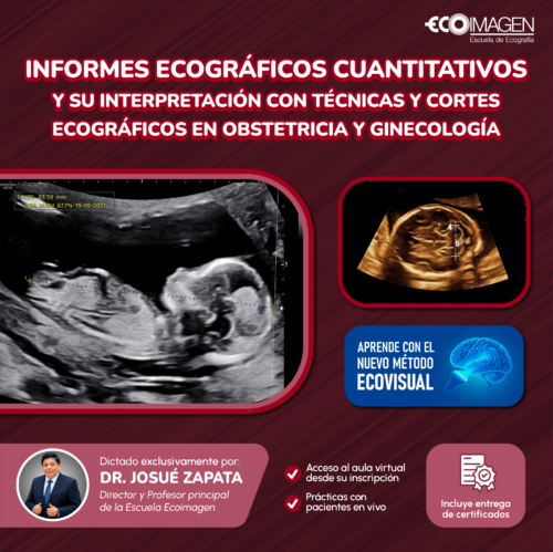 Curso Práctico | Informes Ecográficos Cuantitativos y su interpretación con Técnicas y Cortes Ecográficos en Obstetricia y Ginecología