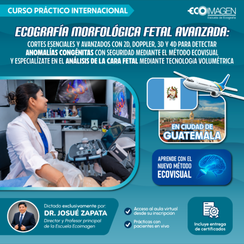 Curso Internacional Práctico en GUATEMALA | Ecografía Morfológica Fetal Avanzada