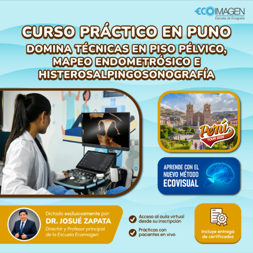 Curso Práctico en PUNO | Domina técnicas en Piso Pélvico, Mapeo Endometriósico e Histerosalpingosonografía