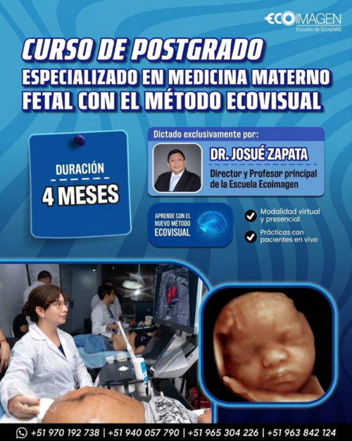 Curso de Posgrado Especializado en Medicina Materno Fetal con el Método EcoVisual