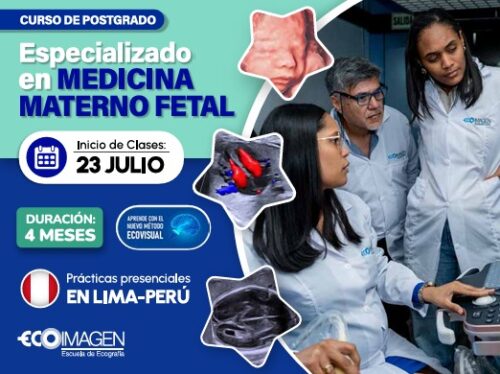 Curso de Posgrado Especializado en Medicina Materno Fetal con el Método EcoVisual