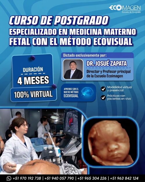 Curso de Posgrado Especializado en Medicina Materno Fetal con el Método EcoVisual (100% Virtual)