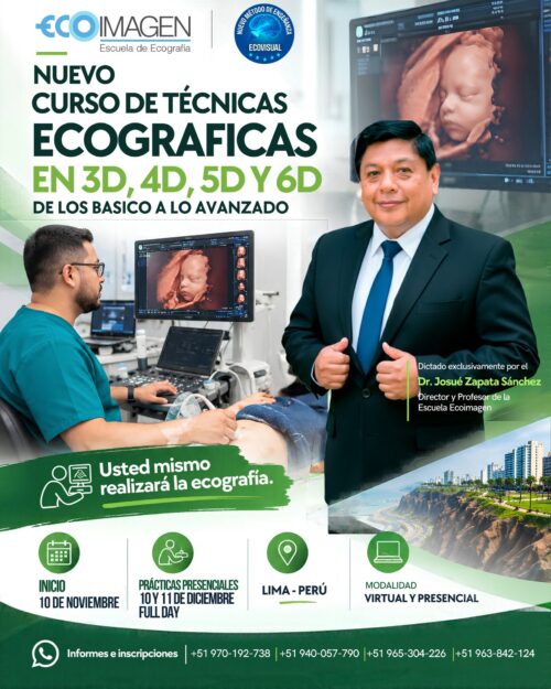Curso Práctico | Técnicas Ecográficas en 3D, 4D, 5D y 6D. De Lo Básico a lo Avanzado.